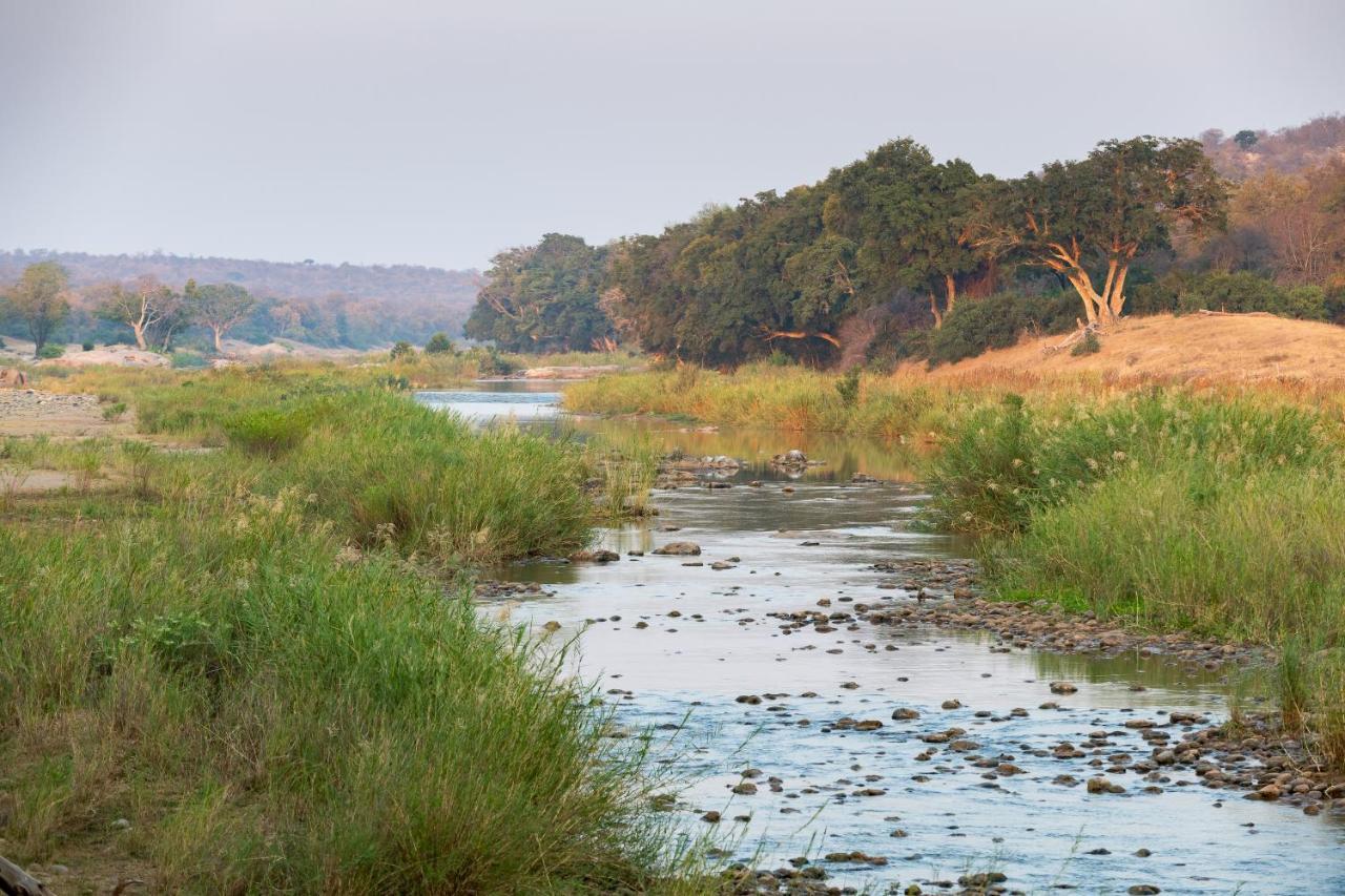 Pondoro Game Lodge Balule Doğa Koruma Alanı Dış mekan fotoğraf